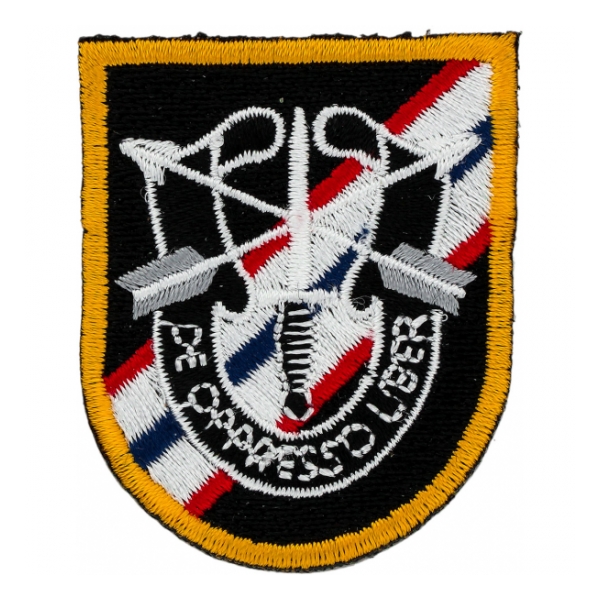 46th Special Forces Group Flash