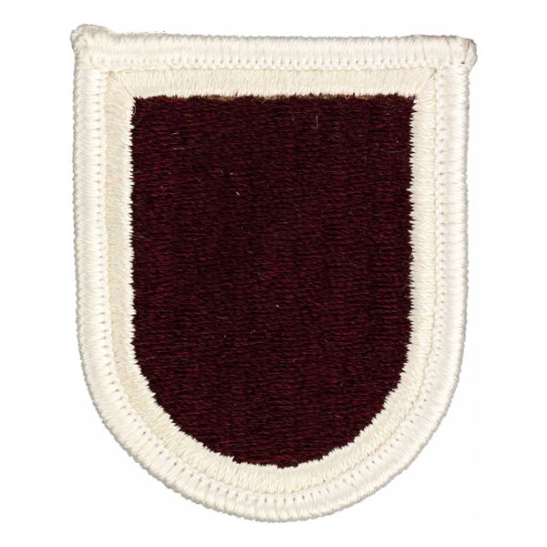 307th Forward Support Battalion Flash