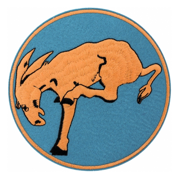 Air Force 95th Bombardment Patch