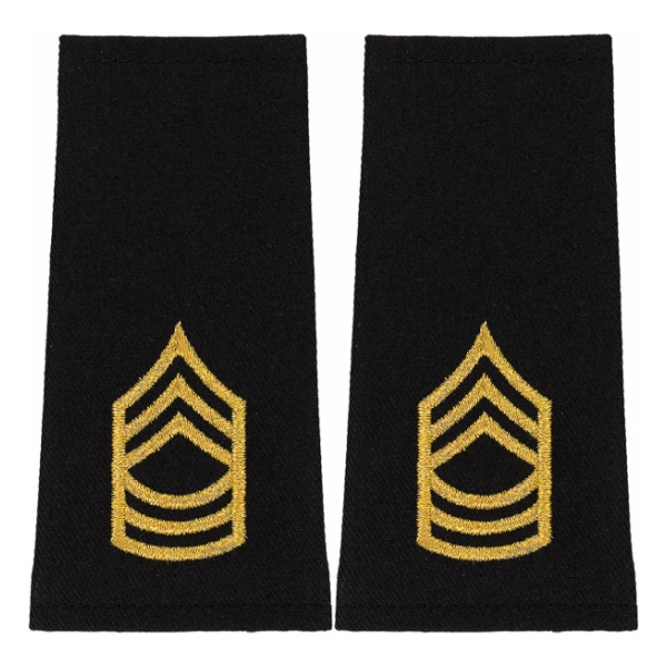 Army Master Sergeant (Sleeve Chevron) (Male)