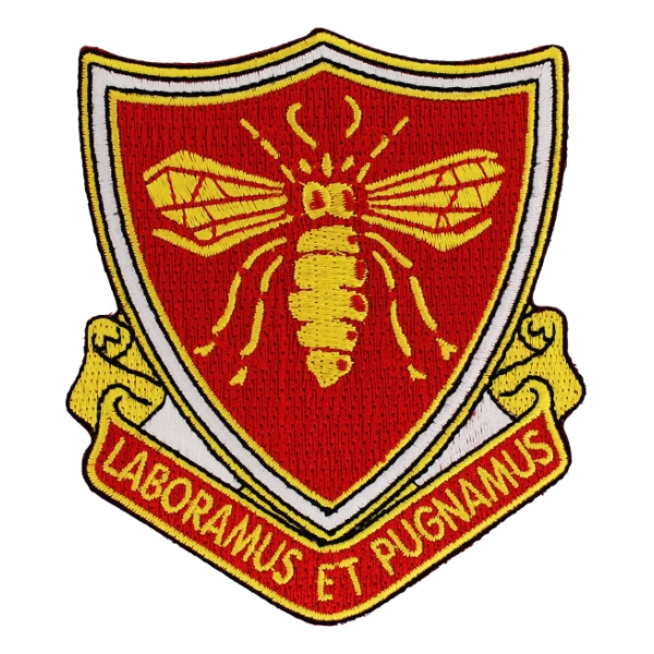 439th Engineer Battalion Patch