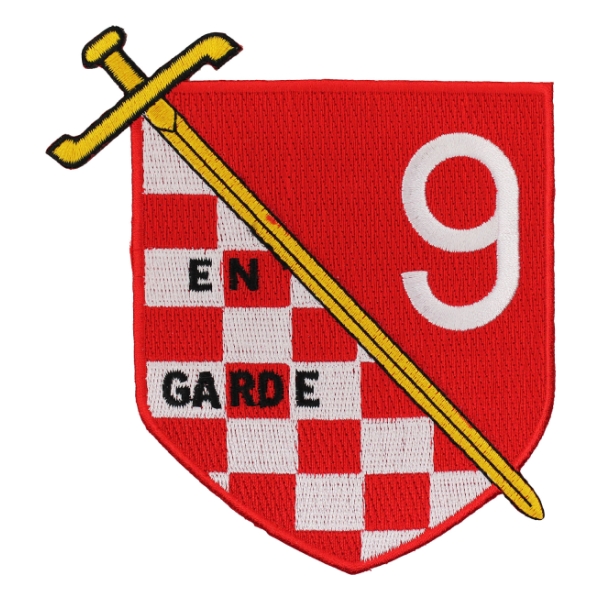 Destroyer Squadron DESRON 9 Patch