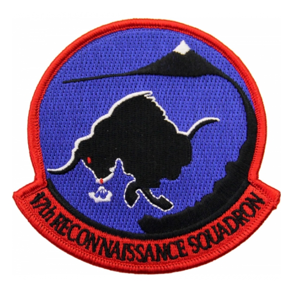 Air Force 17th Reconnaissance (Drone) Squadron Patch