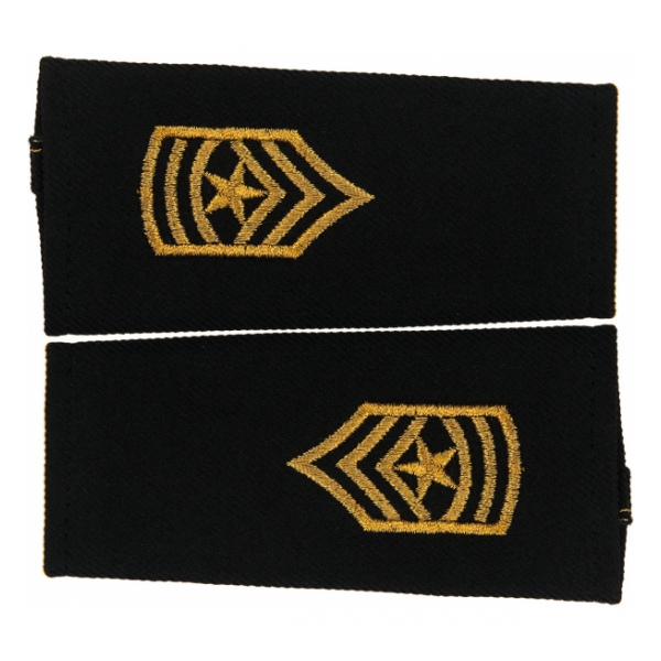 Army Sergeant Major