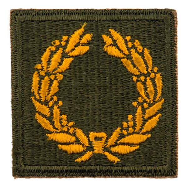 World War II Meritourious Unit CitationPatch