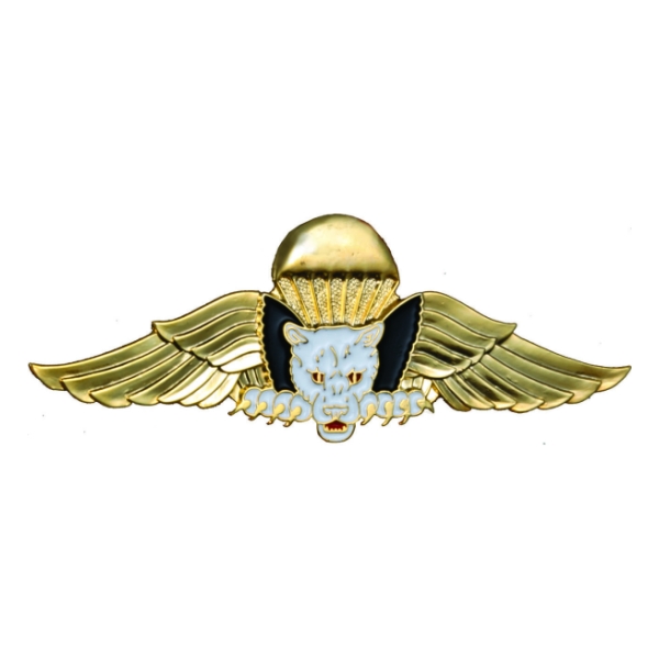 Dominican Republic Parachutist Wings