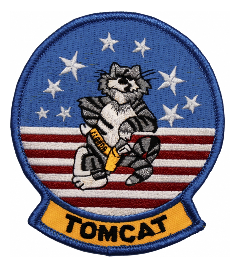 Tomcat Patch.