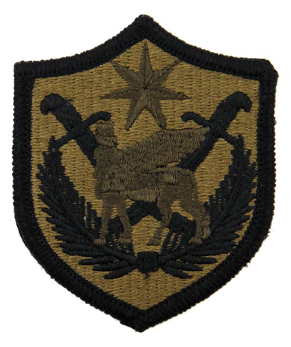 Multi-National Force Iraq Scorpion / OCP Patch With Hook Fastener ...