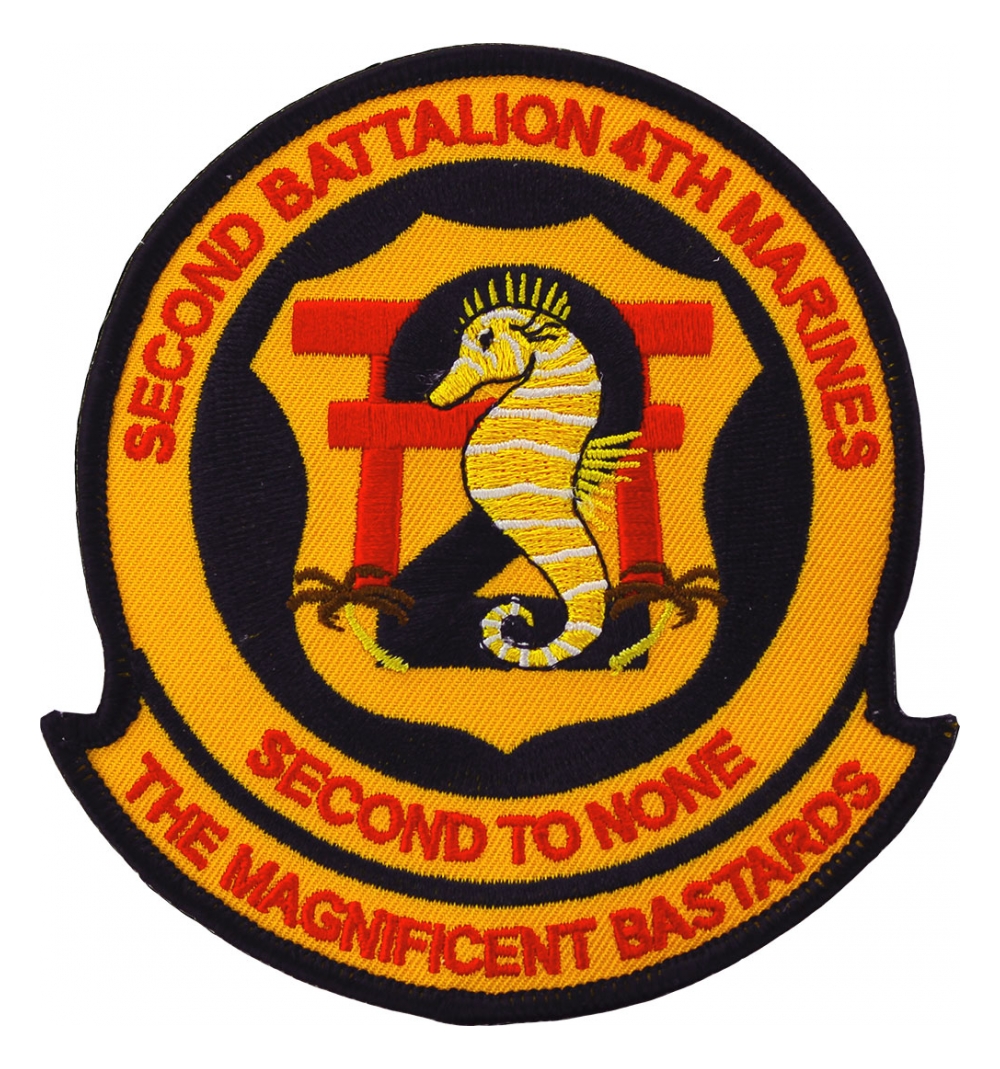 2nd Battalion / 4th Marines Patch | Flying Tigers Surplus