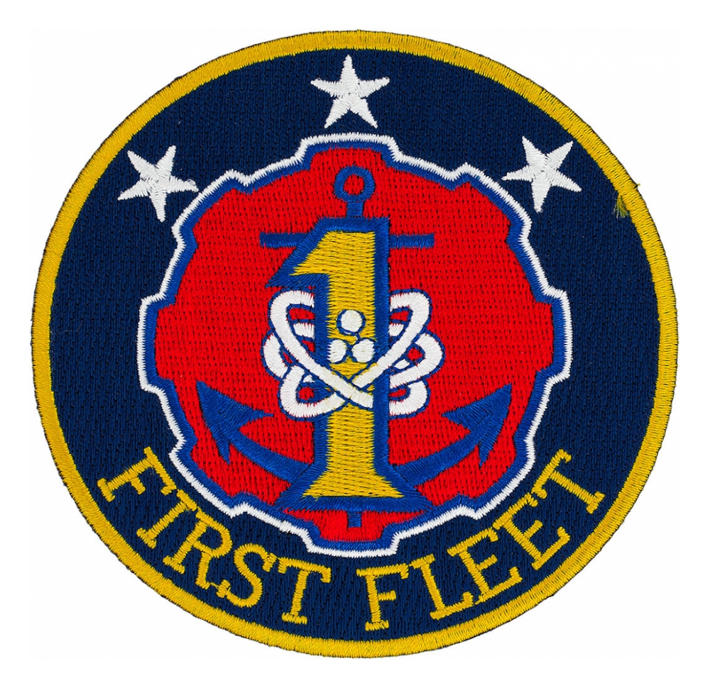 Navy Fleet Patches Flying Tigers Surplus