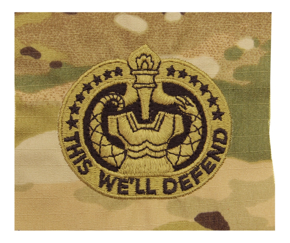 drill sergeant badge